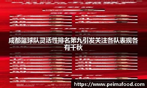 成都篮球队灵活性排名第九引发关注各队表现各有千秋