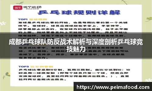 成都乒乓球队防反战术解析与深度剖析乒乓球竞技魅力