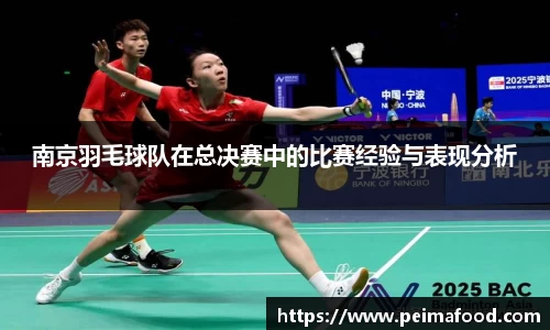 南京羽毛球队在总决赛中的比赛经验与表现分析