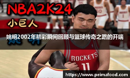 姚明2002年精彩瞬间回顾与篮球传奇之路的开端