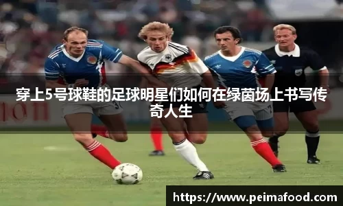 竞技宝
