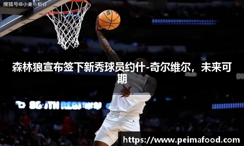 森林狼宣布签下新秀球员约什-奇尔维尔，未来可期