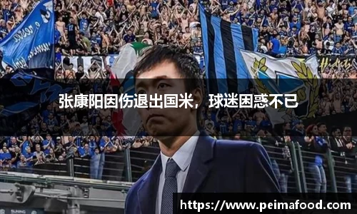 竞技宝