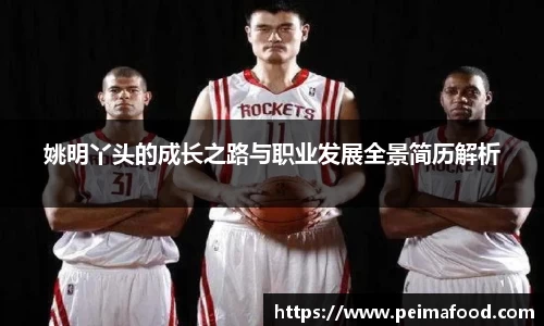 姚明丫头的成长之路与职业发展全景简历解析