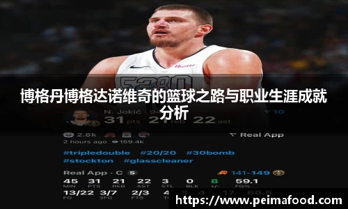 博格丹博格达诺维奇的篮球之路与职业生涯成就分析
