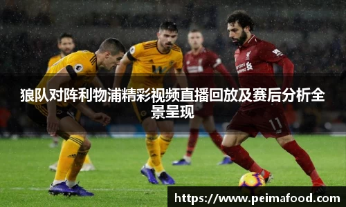 狼队对阵利物浦精彩视频直播回放及赛后分析全景呈现