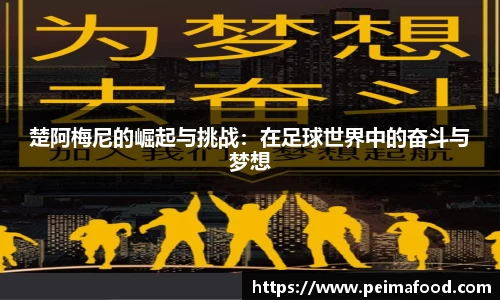 楚阿梅尼的崛起与挑战：在足球世界中的奋斗与梦想