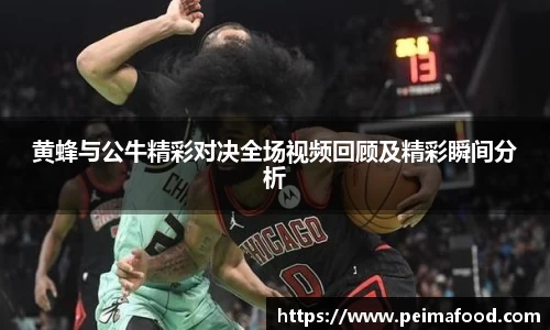 黄蜂与公牛精彩对决全场视频回顾及精彩瞬间分析