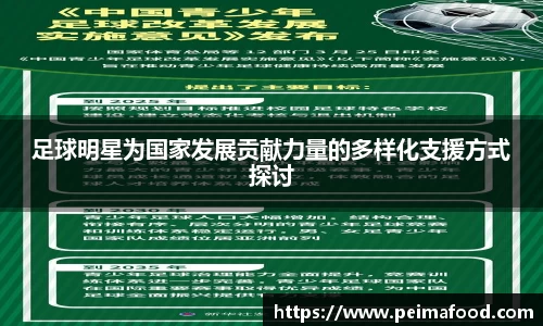 足球明星为国家发展贡献力量的多样化支援方式探讨