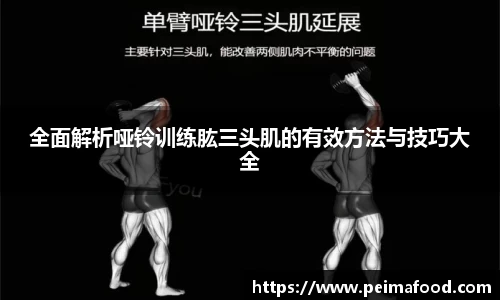 全面解析哑铃训练肱三头肌的有效方法与技巧大全