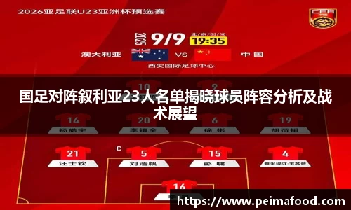 国足对阵叙利亚23人名单揭晓球员阵容分析及战术展望